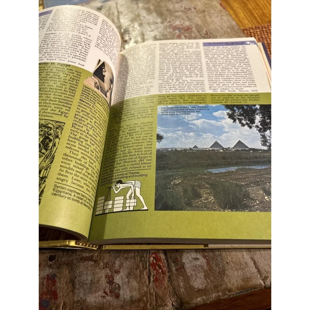 Eerdmans' Family Encyclopedia of the Bible by Patricia Alexander 1978 Book  3/25